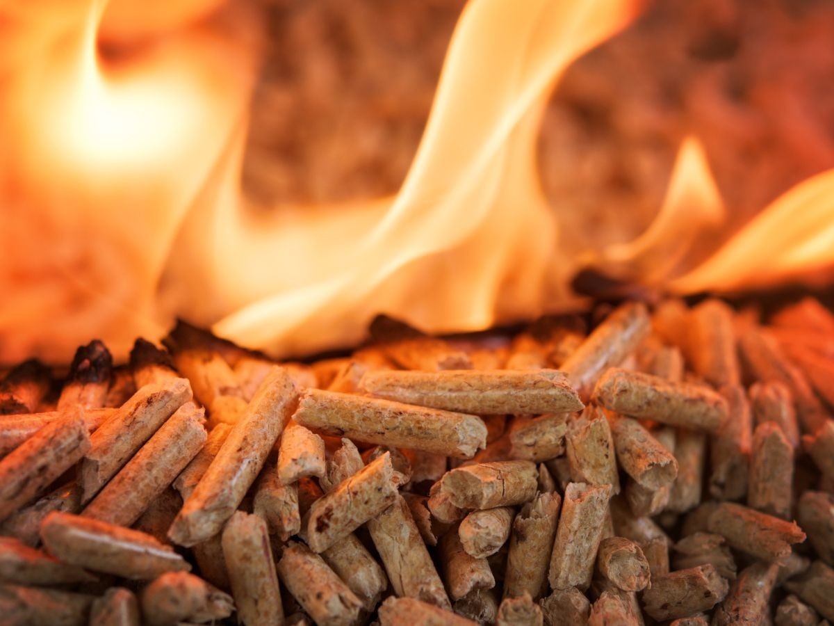 Hausse des prix de l'énergie : la demande en granulés de bois de chauffage  bondit