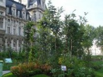 Un petit coin de verdure au pied de la mairie de ...