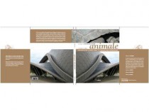 Architecture animale