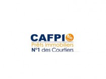 Recul du chiffre d'affaires de Capfi en 2009