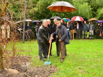 Point.P plante des arbres aux Mureaux