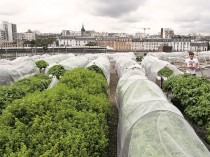 Capitale agricole&#160;: une exposition qui met en ...