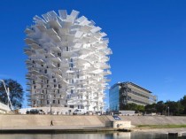 L'Arbre blanc pose les racines d'un nouvel ...