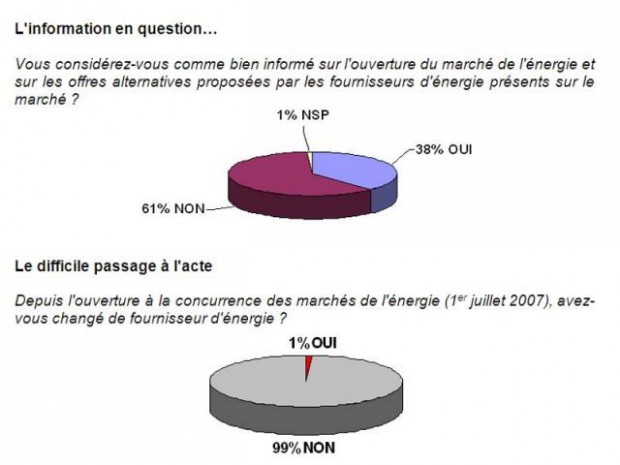 Ipsos marché énergie