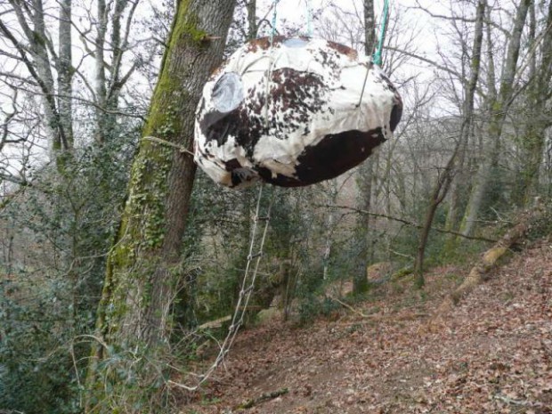 Cabane du trappeur - Lucien Cassat