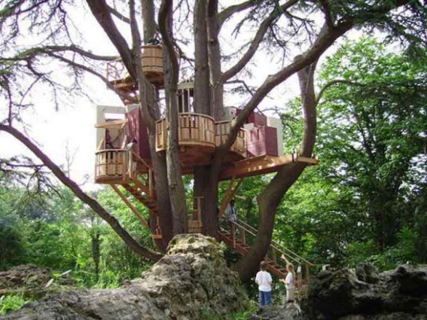 Cabane dans un arbre