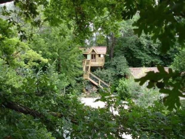 Cabane au milieu des feuillages