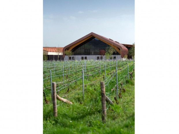 Centre de vinification de la maison Krug