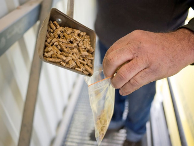 Granulés de bois pour chauffage