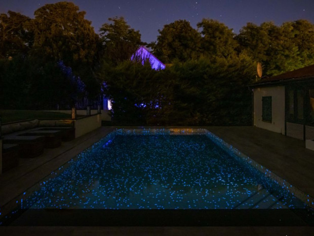 Catégorie piscine de nuit : Trophée d'Or