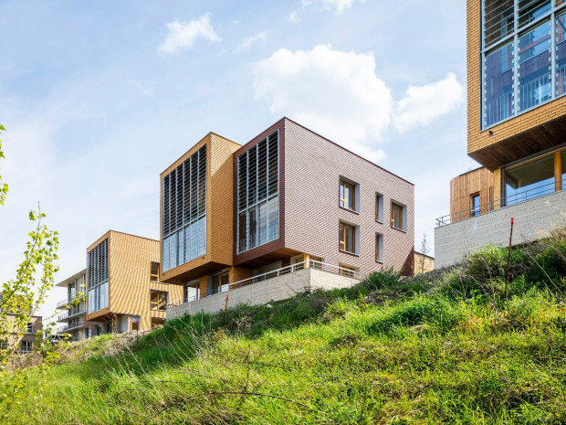 Îles habitées de L'Île-Saint-Denis - prix habitat intermédiaire - grand prix Tuile en terre cuite