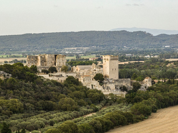 Abbaye de Montmajour